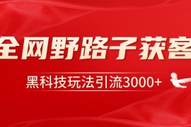 实战电商引流获客野路子全平台暴力截流获客日引500+12-15福缘网