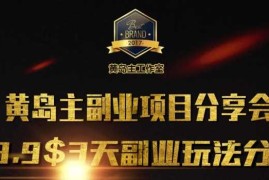 创业项目黄岛主副业分享会1期：3天3个副业玩法，速度上车01-21冒泡网