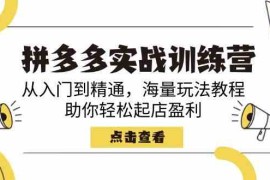 手机创业拼多多实战训练营，从入门到精通，海量玩法教程，助你轻松起店盈利03-03福缘网