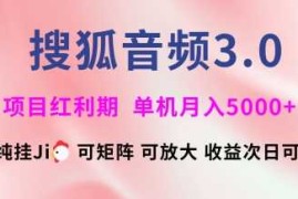 最新项目搜狐音频挂ji3.0.可矩阵可放大，独家技术，稳定月入5000+【揭秘】03-07冒泡网