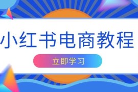 简单项目小红书电商教程，掌握帐号定位与内容创作技巧，打造爆款，实现商业变现12-23福缘网