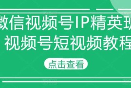 每日微信视频号IP精英班-视频号短视频教程11-07冒泡网