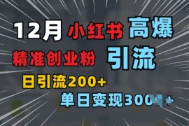 热门项目小红书一张图片“引爆”创业粉，单日+200+精准创业粉可筛选付费意识创业粉【揭秘】12-21冒泡网