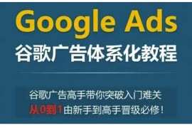 每天GoogleAds谷歌广告体系化教程，谷歌广告高手带你突破入门难关，从0到1由新手到高手晋级必修12-28冒泡网