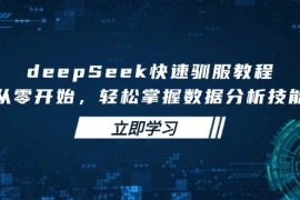 创业项目（14536期）deepSeek快速驯服教程，从零开始，轻松掌握数据分析技能03-15中创网