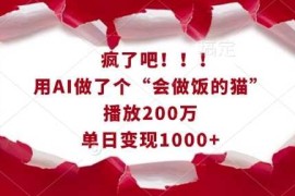 热门项目疯了吧！用AI做了个“会做饭的猫”，播放200万，单日变现1k01-04冒泡网