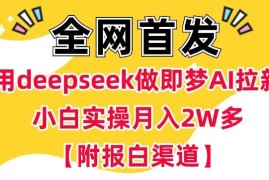 热门项目用deepseek做即梦Ai拉新 小白实操月入过W+【附报白渠道】02-28冒泡网