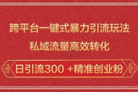 赚钱项目跨平台一键式暴力引流玩法，私域流量高效转化日引流300+精准创业粉02-08冒泡网