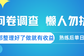 实战问卷调查懒人勿扰问卷都整理好了，做就有收益，熟练后日入300+03-18福缘网