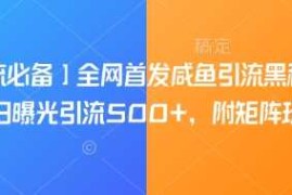 实战【引流必备】全网首发咸鱼引流黑科技，单日曝光引流500+，附矩阵玩法【揭秘】03-12冒泡网