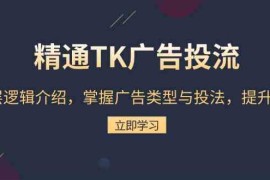 最新项目精通TK广告投流：底层逻辑介绍，掌握广告类型与投法，提升效果12-15福缘网