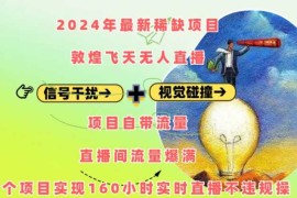 每天2024年最新稀缺项目敦煌飞天无人直播，项目自带流量，流量爆满，实现160小时实时直播不违规操12-06冒泡网