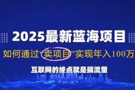 创业项目（14305期）2025最新蓝海项目，零门槛轻松复制，月入10万+，新手也能操作！02-24中创网