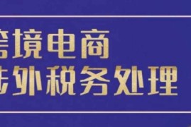 赚钱项目跨境税务宝典教程：跨境电商全球税务处理策略11-30冒泡网