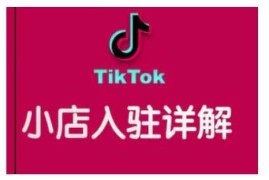 最新项目TikTok跨境小店运营全攻略，帮助你独立运营TK跨境小店的能力，实现销量增长01-06冒泡网