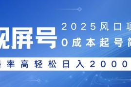 每日（14157期）2025风口项目，视频号带货，起号简单，爆率高轻松日入2000+02-12中创网