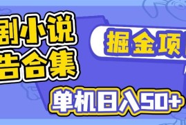 简单项目（14456期）短剧小说合集广告掘金项目，单机日入50+03-07中创网