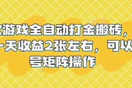 热门项目老款游戏全自动打金搬砖，单号一天收益2张左右，可以多号矩阵操作【揭秘】02-17冒泡网