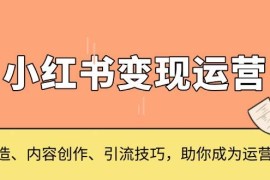 简单项目小红书变现运营，IP打造、内容创作、引流技巧，助你成为运营高手12-08福缘网