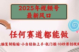 每天（14453期）2025年视频号新风口，低门槛只需要无脑执行03-09中创网