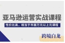 最新项目亚马逊运营实战课程，亚马逊从入门到精通，性价比高，相当于市面万元以上元课程12-25冒泡网