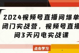 热门项目2024视频号直播间爆单闭门实战营，视频号直播间3天闪电实战课12-18冒泡网