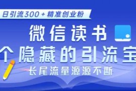 创业项目微信读书，一个隐藏的引流宝地，不为人知的小众打法，日引流300+精准创业粉，长尾流量源源不断12-21冒泡网