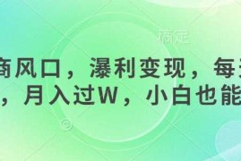 最新项目女杏商风口，瀑利变现，每天1小时，月入过W，小白也能做03-19冒泡网