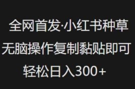 热门项目全网首发，小红书种草无脑操作，复制黏贴即可，轻松日入3张03-03冒泡网