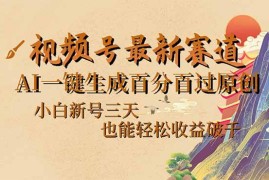 每日（14363期）视频号最新爆火赛道，AI一键生成百分百过原创，小白新号三天，也能轻松&#8230;02-28中创网