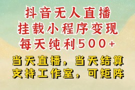 实战抖音无人挂机项目，轻松日入500+,挂载小程序玩法，不违规不封号，有号的一定挂起来12-10福缘网