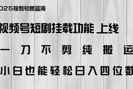 手机创业（14310期）视频号短剧挂载功能上线，一刀不剪纯搬运，小白也能轻松日入四位数02-25中创网