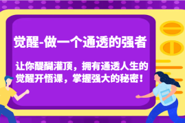 赚钱项目认知觉醒，让你醍醐灌顶拥有通透人生，掌握强大的秘密！觉醒开悟课（更新）11-21福缘网