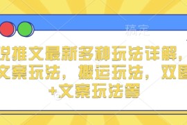 简单项目小说推文最新多种玩法详解，实况文案玩法，搬运玩法，双图片+文案玩法等12-31冒泡网