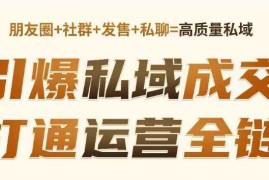 手机创业高成交私聊转化，引爆私域成交，打通运营全链02-08冒泡网