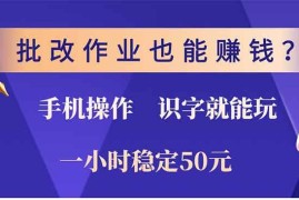 2024最新（13826期）批改作业也能赚钱？0门槛手机项目，识字就能玩！一小时50元！12-26中创网