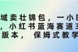 每天私域卖壮锦包，一小时3张，小红书蓝海赛道3.0版本，保姆式教学03-19冒泡网