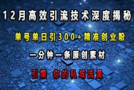 2024最新最新高效引流技术深度揭秘，单号单日引300+精准创业粉，一分钟一条原创素材，引爆你的私域流量12-15冒泡网