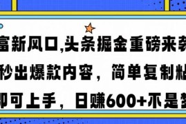 手机项目（14434期）财富新风口,头条掘金重磅来袭AI秒出爆款内容简单复制粘贴即可上手，日&#8230;03-06中创网