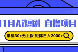 最新项目（13375期）11月ai短剧自撸，单机30+无上限，矩阵日入2000+，小白轻松上手11-20中创网