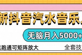 简单项目（13753期）抖音汽水音乐人计划无脑月入5000+操作简单实操已落地12-21中创网