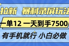 每天（13836期）拉新暴利录屏玩法，一单12块，一天到手7500，有手机就行12-27中创网