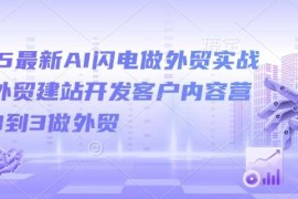 创业项目2025最新AI闪电做外贸实战课，外贸建站开发客户内容营销从0到3做外贸02-10冒泡网