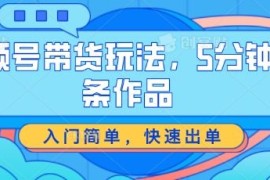 视频号带货玩法，5分钟一条作品，入门简单，快速出单【揭秘】，06月24日冒泡网VIP项目