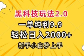 创业项目（13099期）黑科技玩法2.0，一单9.9，轻松日入2000+，新手小白秒上手10-25中创网