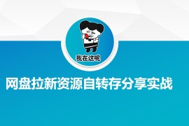 热门项目网盘拉新资源自动转存分享实战02-26冒泡网