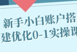 抖音广告投放新手小白账户搭建优化0-1实操课与抖音号运营