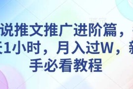 创业项目小说推文推广进阶篇，每天1小时，月入过W，新手必看教程01-17冒泡网