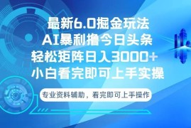 2024最新（13500期）今日头条最新6.0掘金玩法，轻松矩阵日入3000+11-29中创网