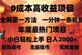 创业项目（13723期）0成本高收益蓝海项目，一分钟一条视频，年底最热项目，小白轻松日入&#8230;12-18中创网